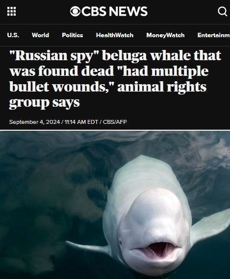 Да они его просто расстреляли