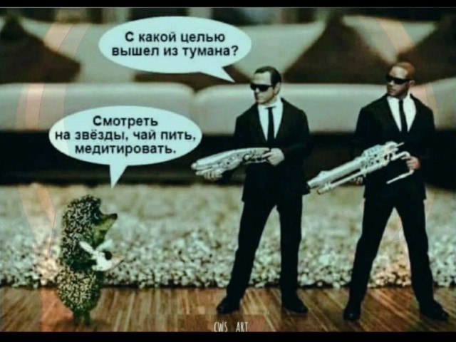 Так себе картинки 06.10.24