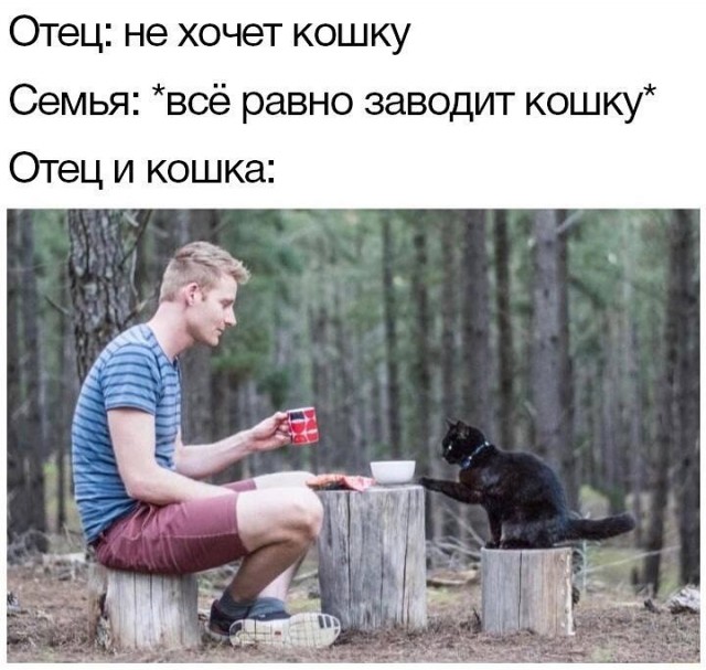 Завалялось тут случайно немного забавных картинок