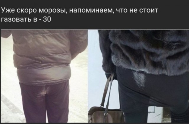Прикольные и просто красивые картинки 01.11.2024