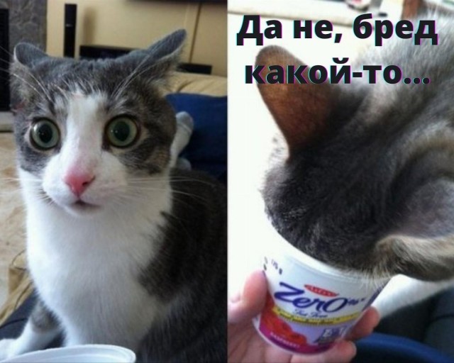 Завалялось тут случайно немного забавных картинок