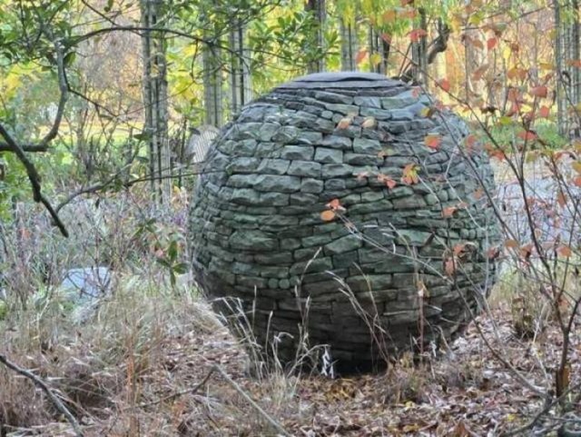 Прикольные и просто красивые картинки 22.11.2024