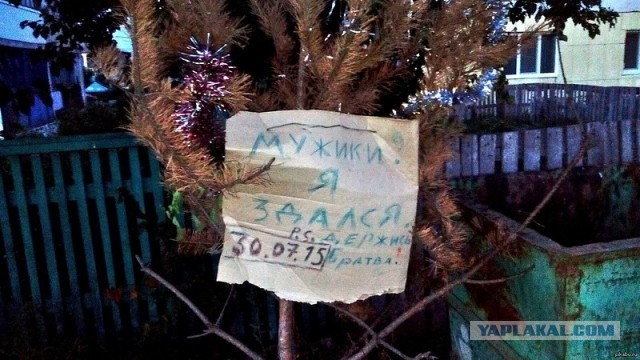 Вот это Сила Воли, Характер и Выносливость!