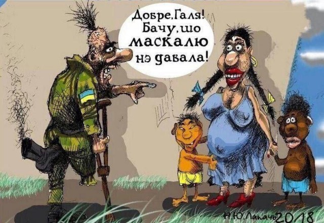 Так себе картинки 20.01.25
