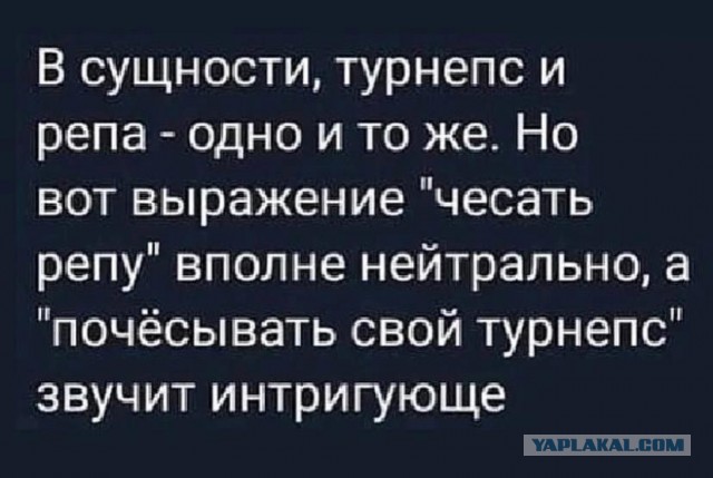 Картинки не для всех