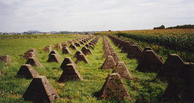 Уголовное  дело возбуждено после проверки качества «зубов дракона» под Курском