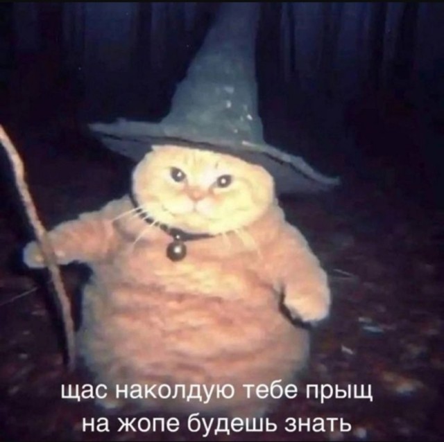 Жалуются на бояны местные.