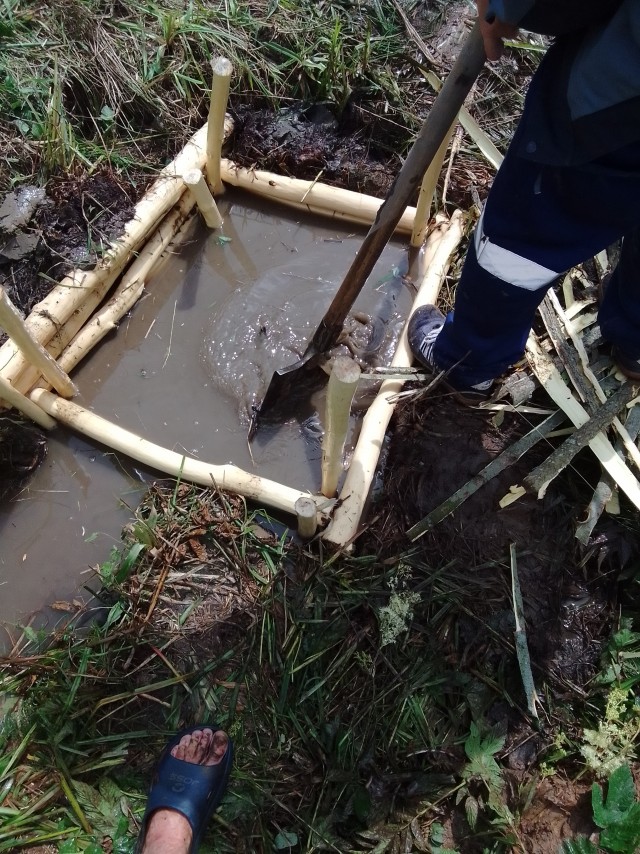 Грибной поход . День второй