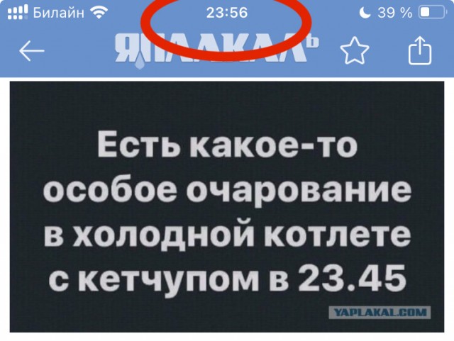 Картинки всякие