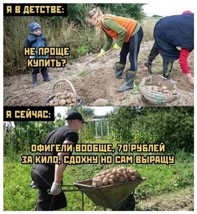 Картинки для деградации 45 (разной степени свежести)