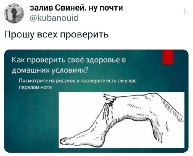 Картинки для деградации 61 (разной степени свежести)