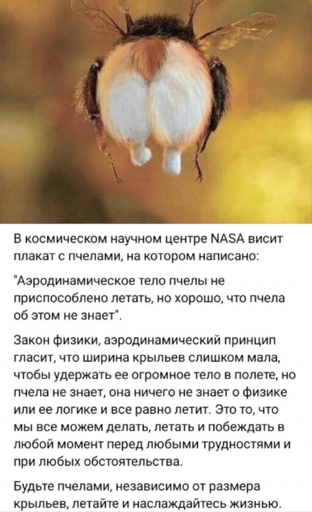 Так себе картинки 02.11.25