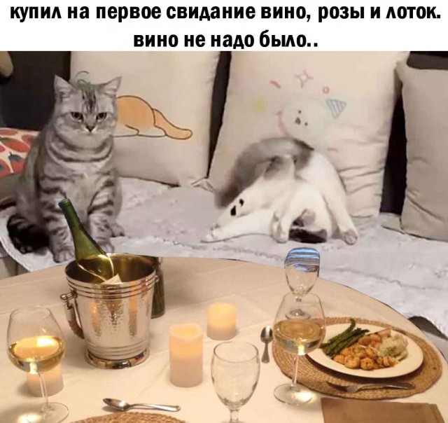 Четкий план нападения