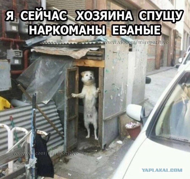 Пляшем.