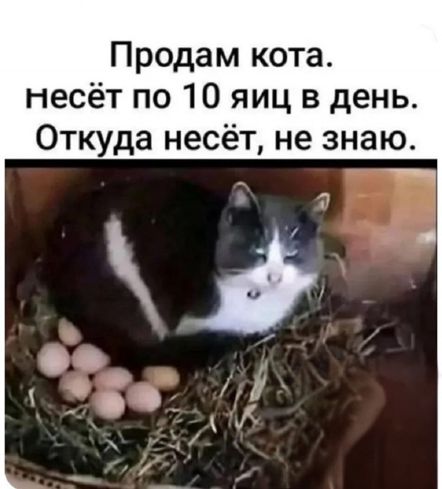 Так себе картинки 31.12.25