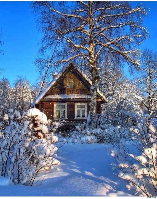 Прикольные и просто красивые картинки 06.02.2026