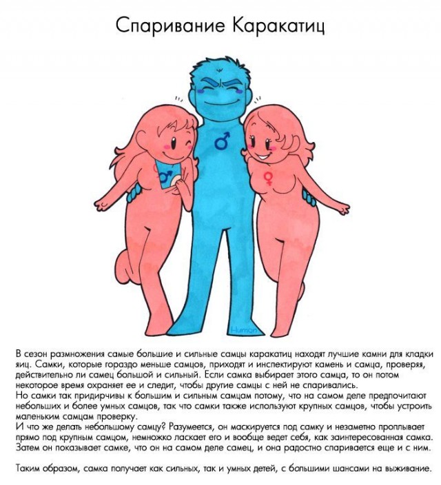 Веселые картинки и немного девушек (50 изображений)