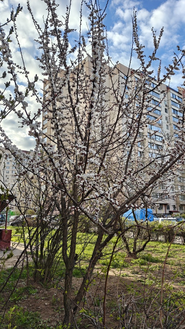 И о погоде.. Красота :)