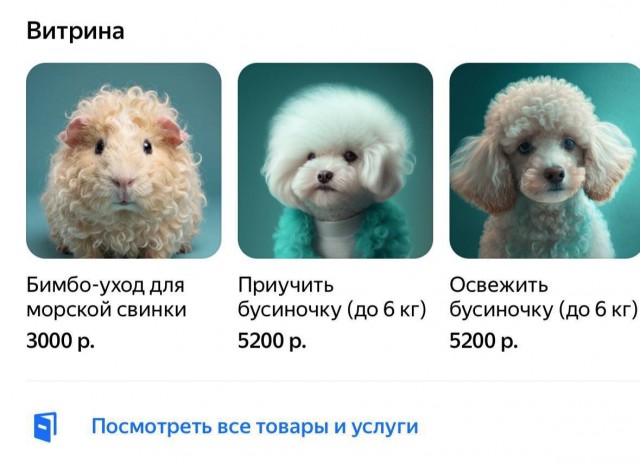В России появился бимбо-уход для морских свинок за ₽3 тыс.