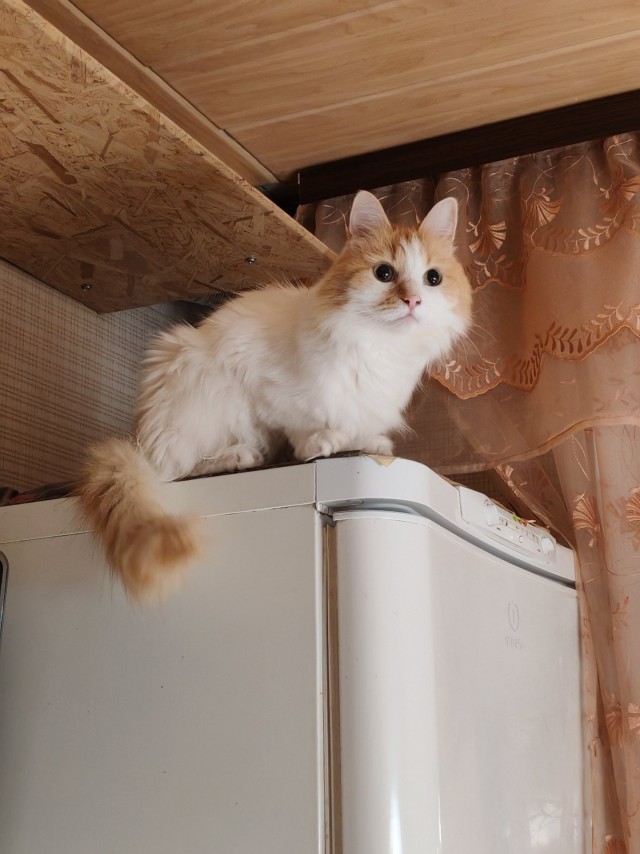 Они ещё не раз пожалеют, что научили его этому