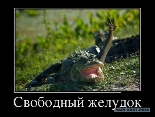 Женщине не продали Chicken McNuggets