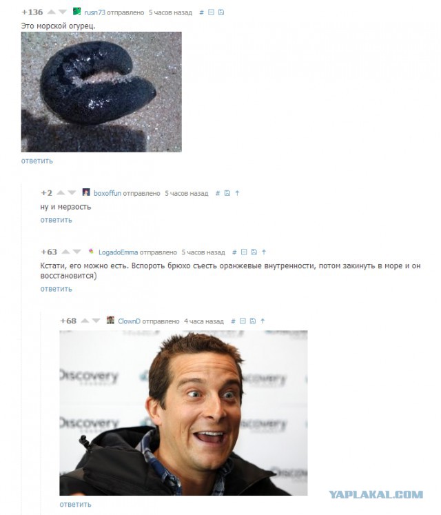 Смешные комментарии из социальных сетей