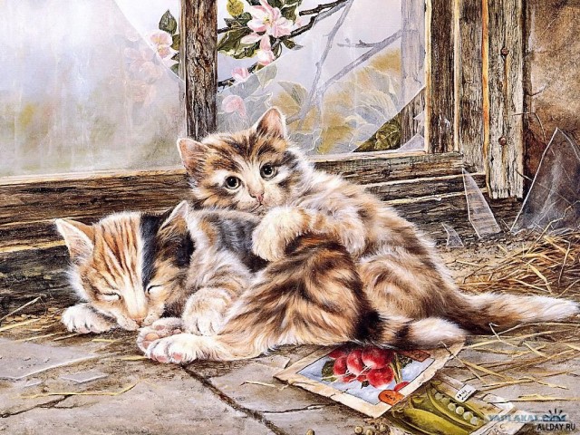 Рисованный котовторник