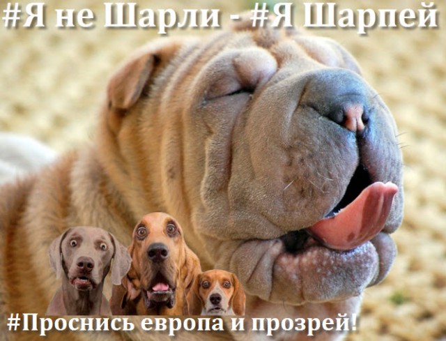 Барщевский похоже тоже не Шарли:)