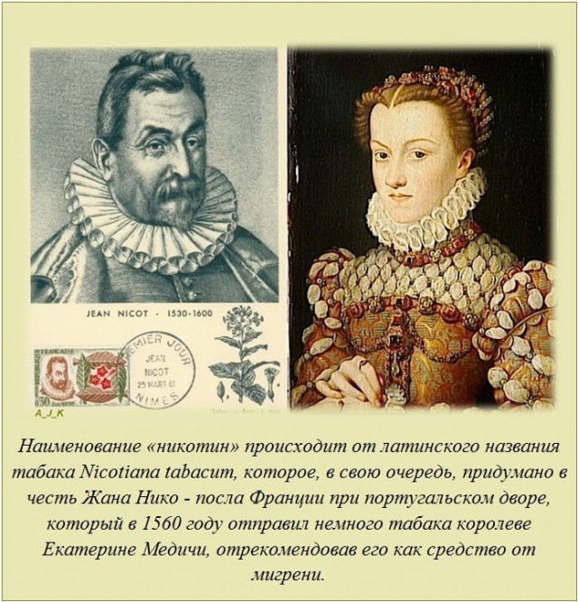 20 фактов обо всем