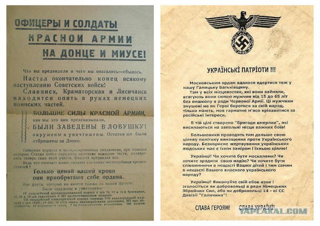Интересно в Киеве все такие?
