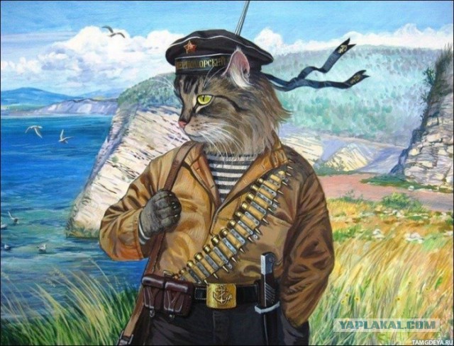 Военные фото, сделанные в очень нужный момент