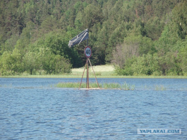 Это Россия, детка