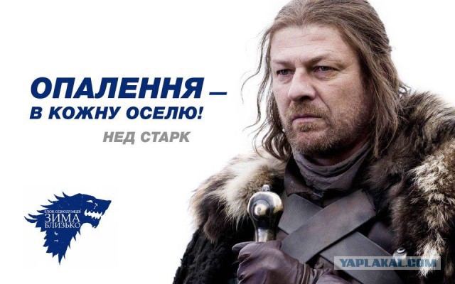 Выборы-выборы! Кандидаты... молодцы.