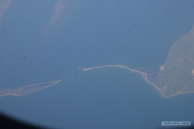 Замор бычка в Азовском море