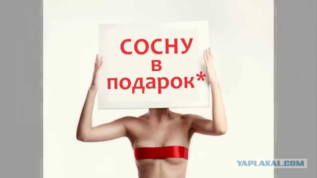 Порно и разврат разрушают людей?