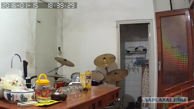 За что я люблю китайцев