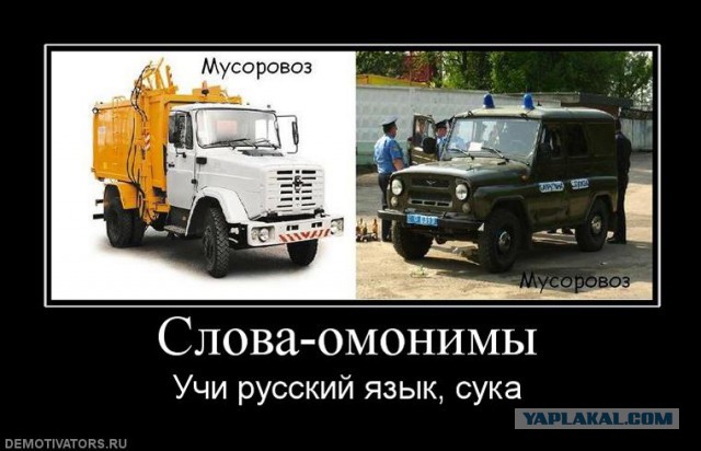 Поиграем в омонимы