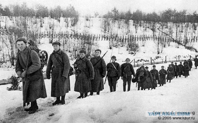 Про кукушек на деревьях и немного про Симу Хайхя