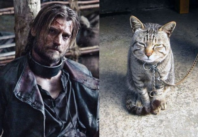 Game of Thrones 6-10 [Осторожно, СПОЙЛЕРЫ!]