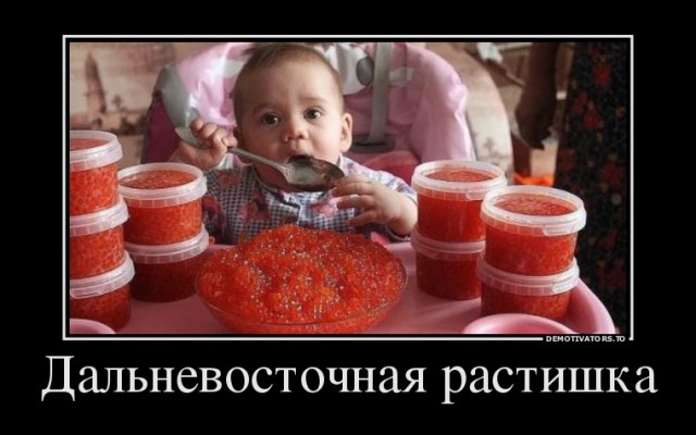 20 лет спустя. VII - Рыбные богатства Камчатки
