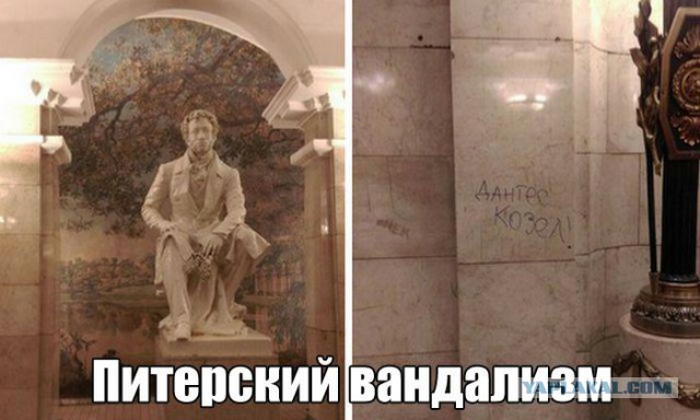 Всячина. 33 картинки
