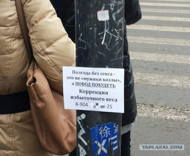 Подборка интересных и веселых картинок