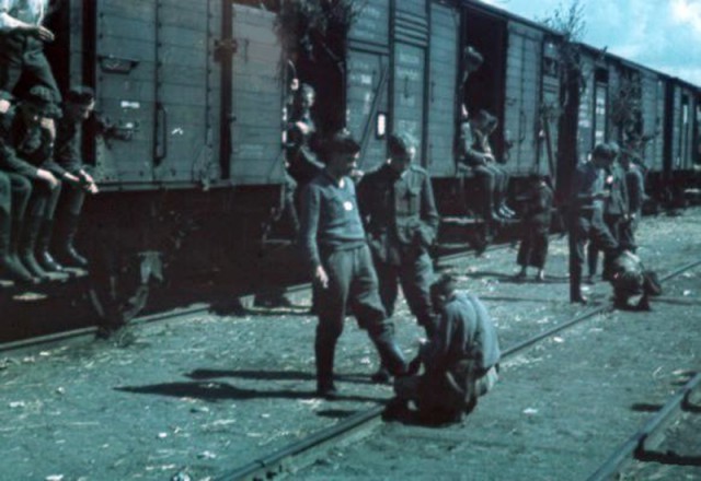 1941 год в цвете. Война