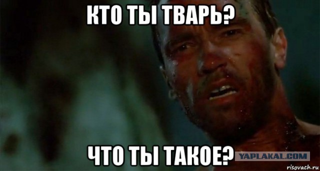 Горячая красотка танцует на пляже