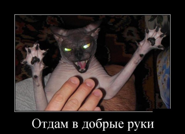 Приколы в стиле "регресс"