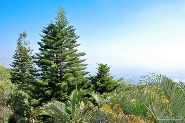 Чианг Май. Жемчужина Севера.