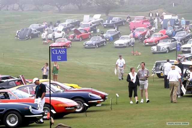 Concours D'elegance