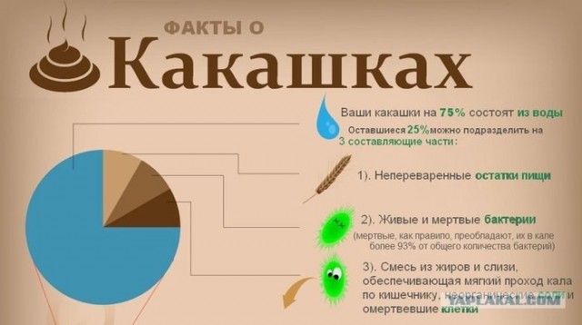 Вонючее ДТП