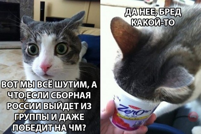 Нестандартный юмор