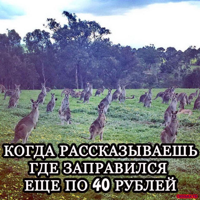 Подборка интересных и веселых картинок